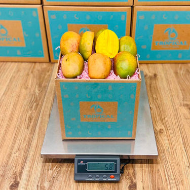 Julie Jamaican Mango Box GoogleON Tropical Fruit Box